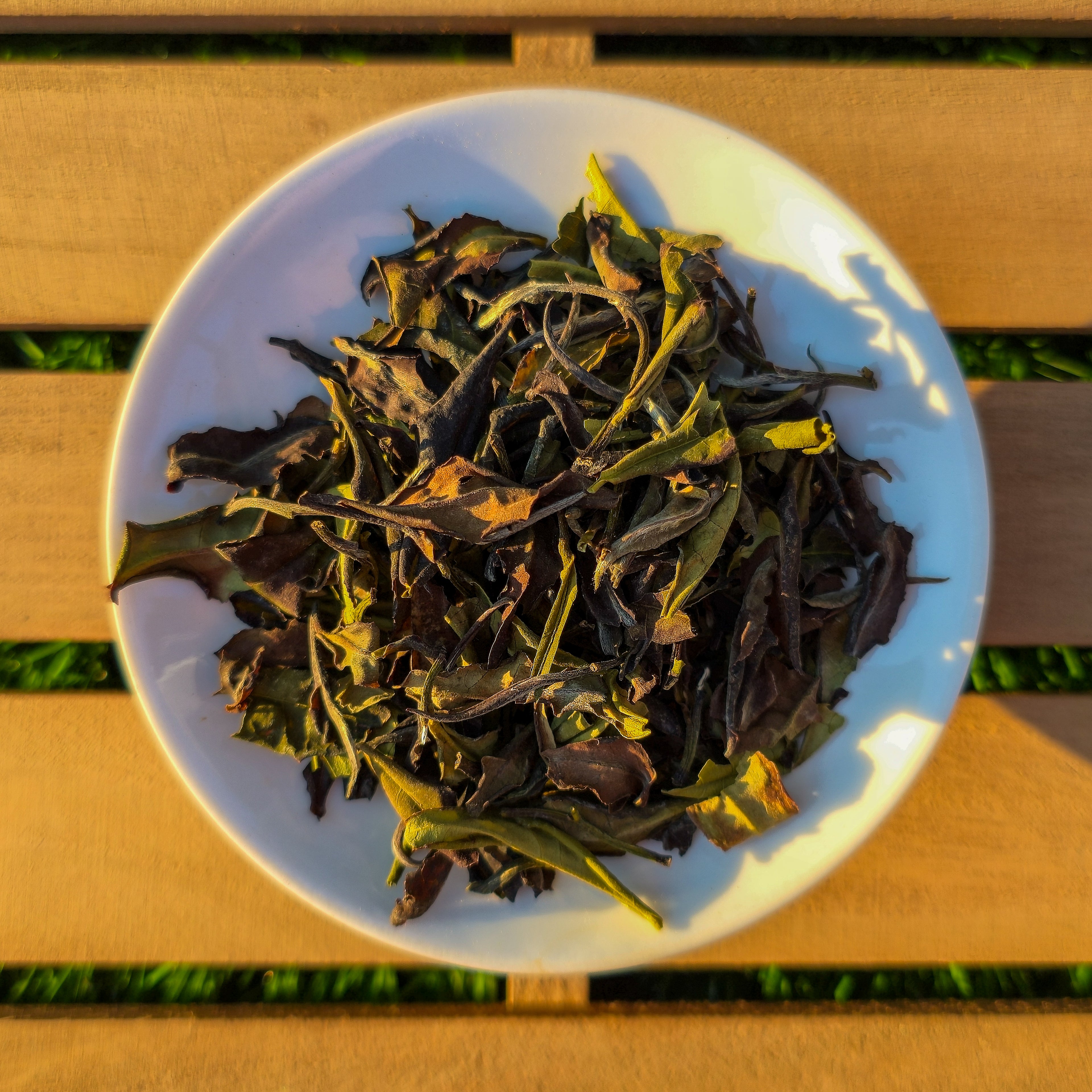 Honey White Tea